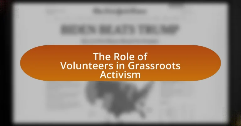 The Role of Volunteers in Grassroots Activism