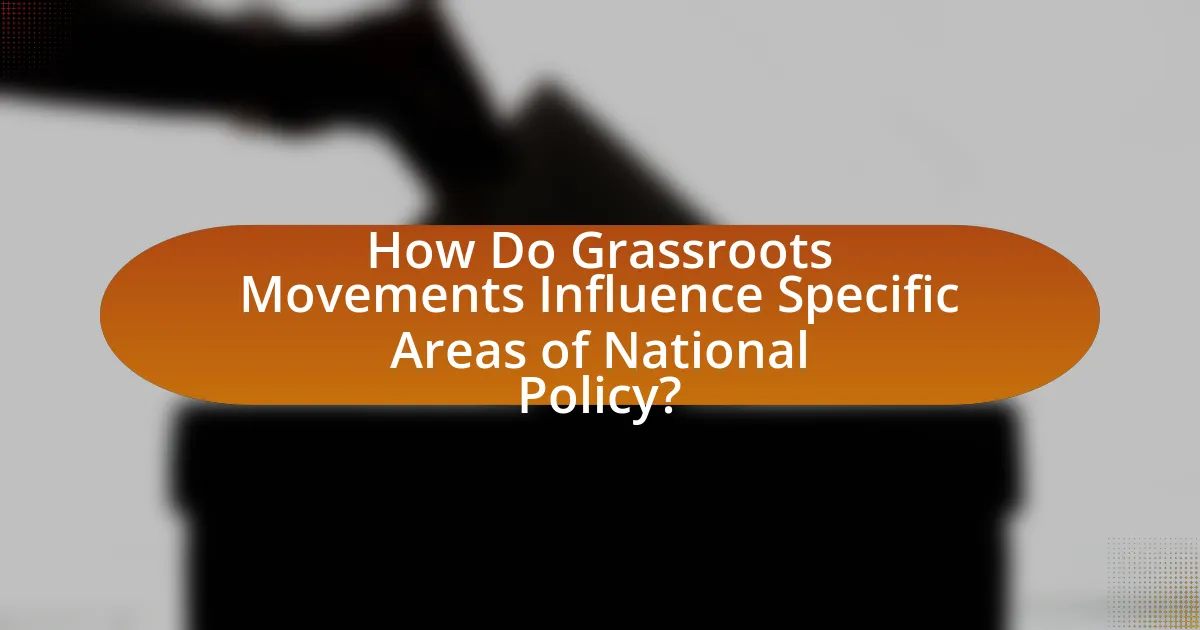 How Do Grassroots Movements Influence Specific Areas of National Policy?