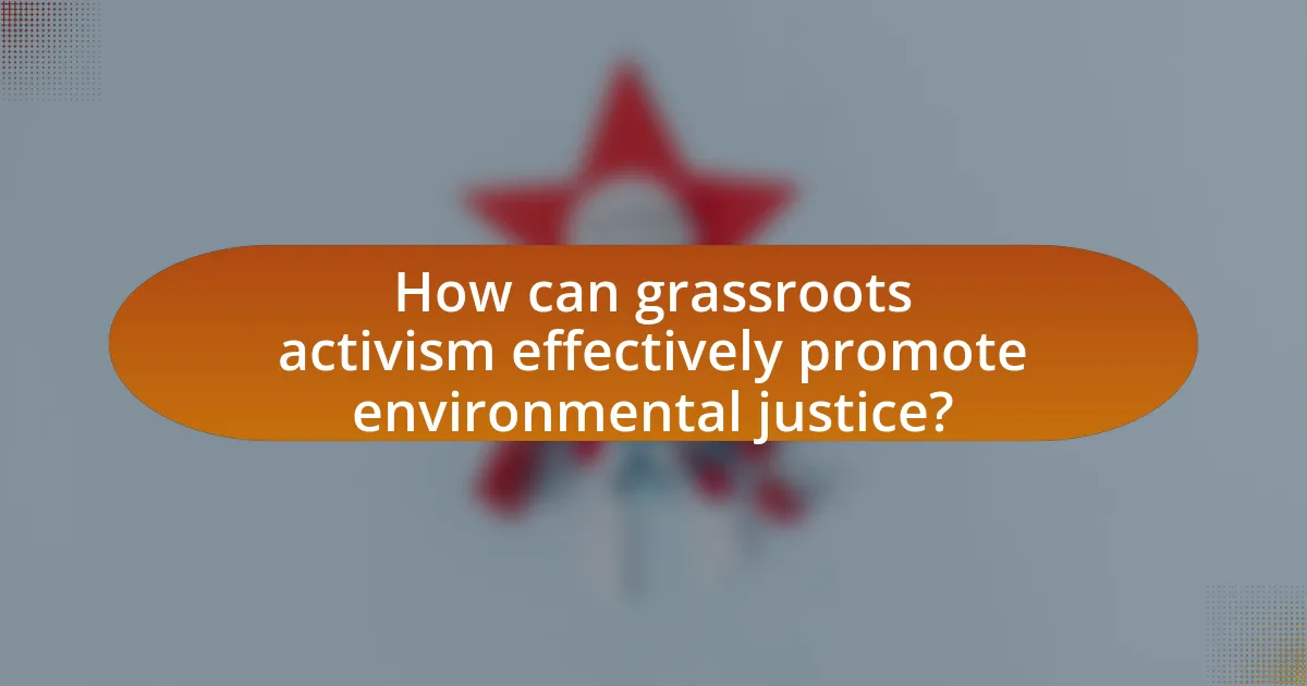 How can grassroots activism effectively promote environmental justice?