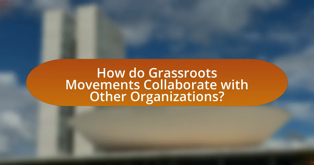 How do Grassroots Movements Collaborate with Other Organizations?