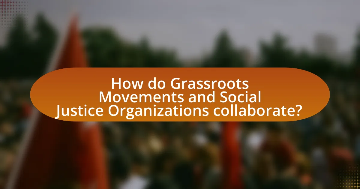 How do Grassroots Movements and Social Justice Organizations collaborate?