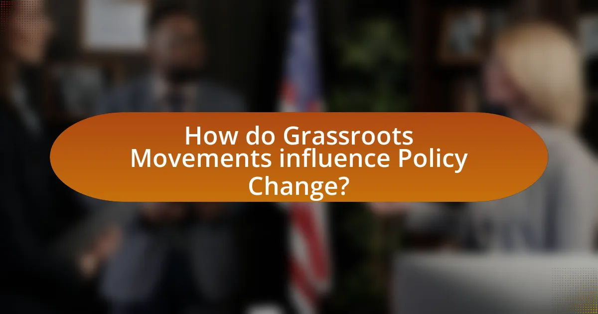 How do Grassroots Movements influence Policy Change?