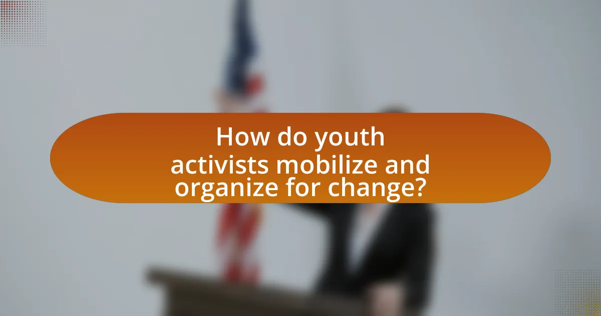 How do youth activists mobilize and organize for change?
