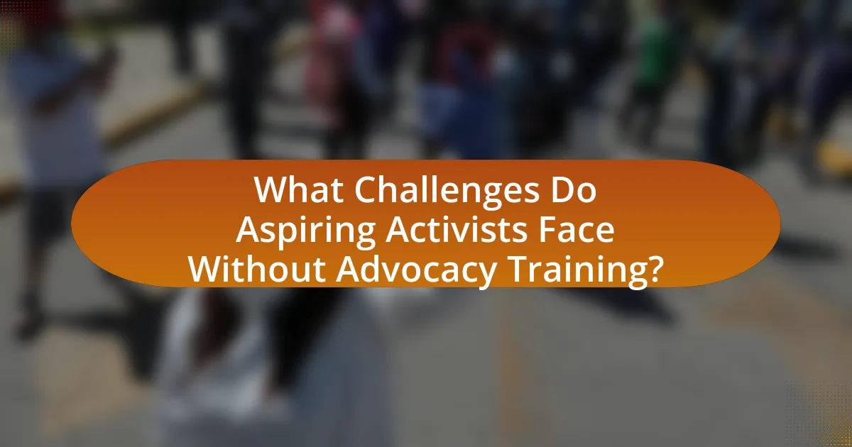 What Challenges Do Aspiring Activists Face Without Advocacy Training?