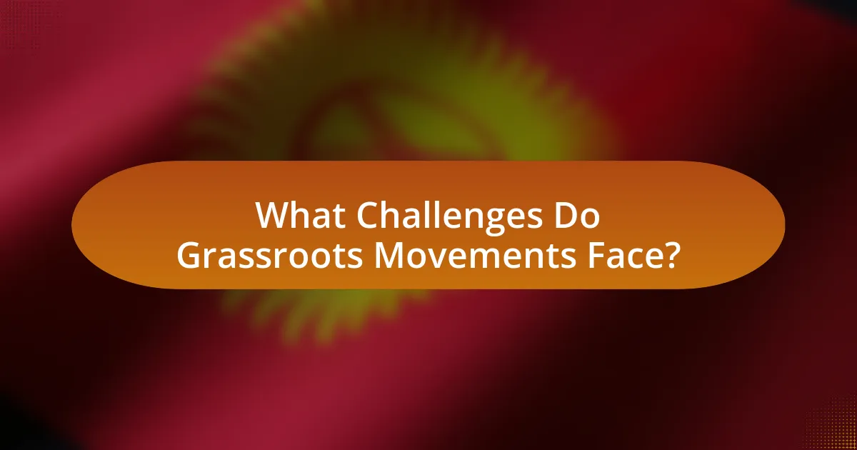 What Challenges Do Grassroots Movements Face?