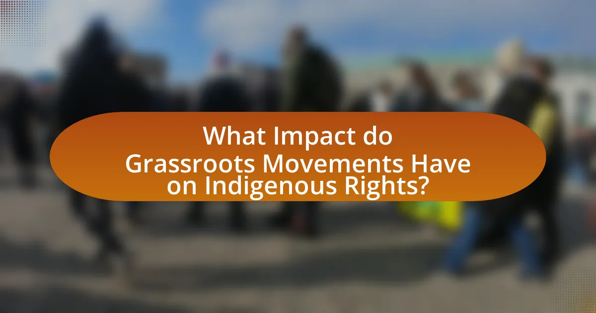 What Impact do Grassroots Movements Have on Indigenous Rights?