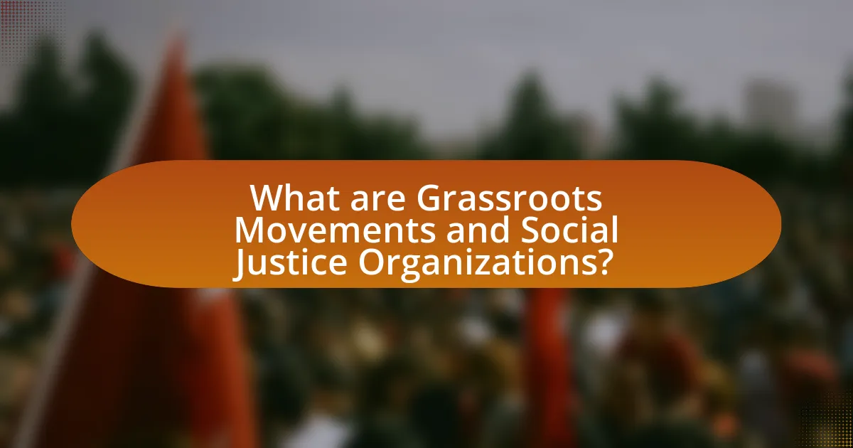 What are Grassroots Movements and Social Justice Organizations?