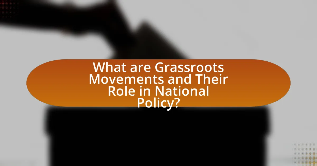 What are Grassroots Movements and Their Role in National Policy?