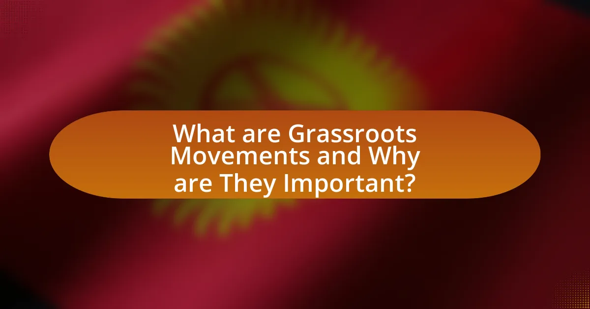 What are Grassroots Movements and Why are They Important?
