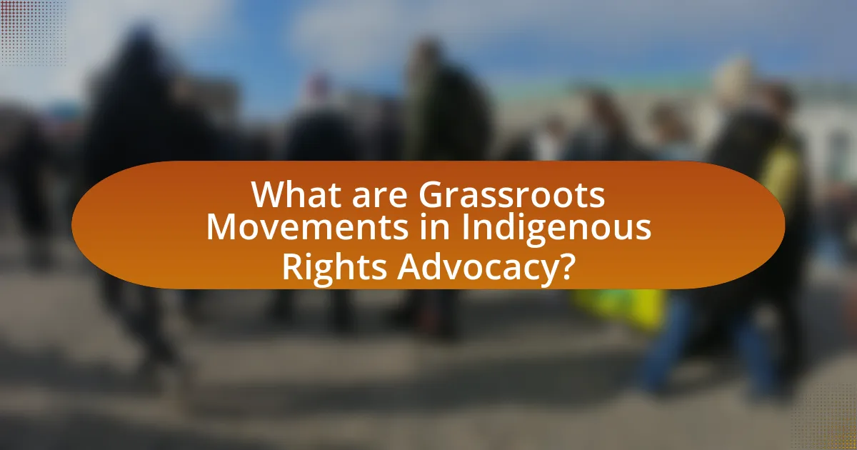 What are Grassroots Movements in Indigenous Rights Advocacy?