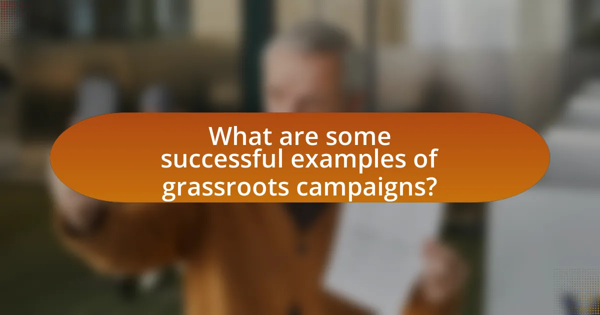 What are some successful examples of grassroots campaigns?