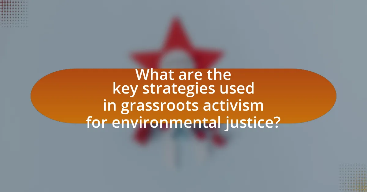 What are the key strategies used in grassroots activism for environmental justice?