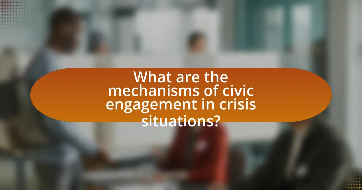 What are the mechanisms of civic engagement in crisis situations?