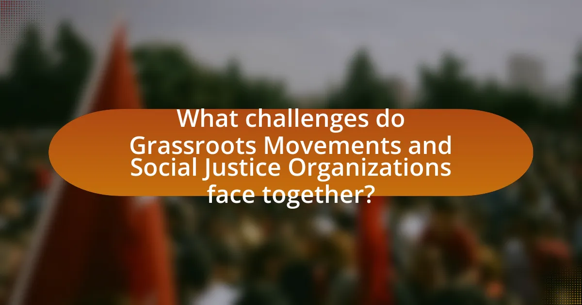 What challenges do Grassroots Movements and Social Justice Organizations face together?