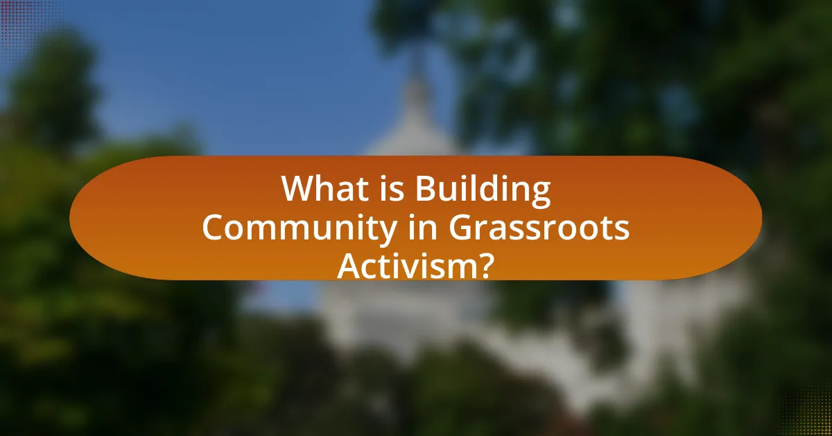 What is Building Community in Grassroots Activism?