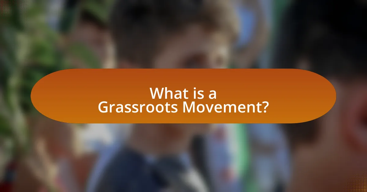 What is a Grassroots Movement?