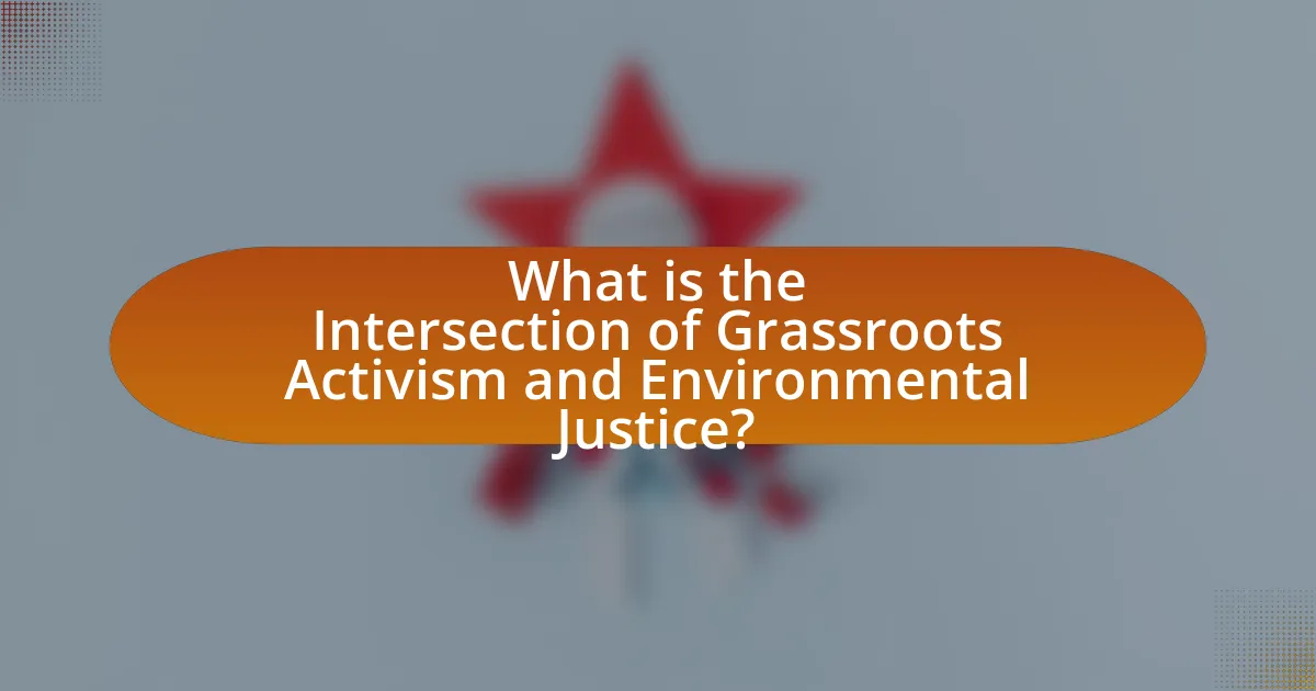 What is the Intersection of Grassroots Activism and Environmental Justice?