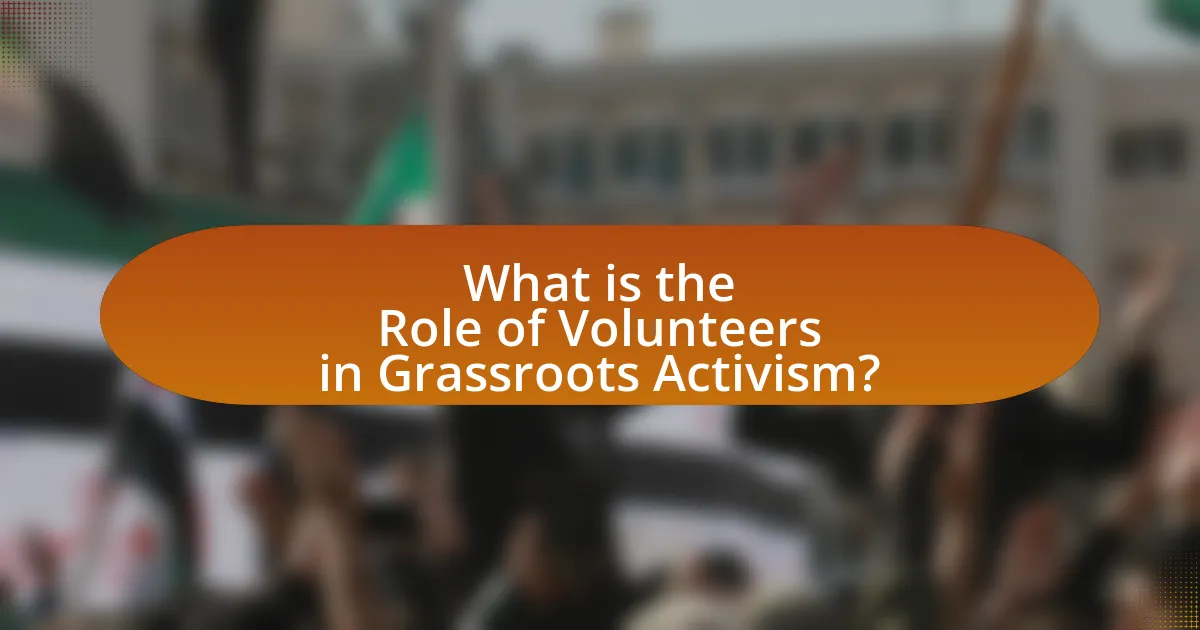 What is the Role of Volunteers in Grassroots Activism?